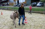 jubilaeumsanlass_2013_20130910_1874763665.jpg